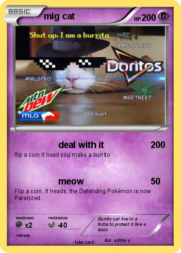 Pokemon mlg cat