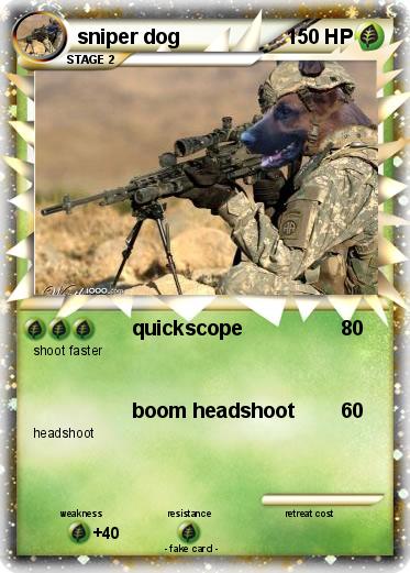 Pokemon sniper dog