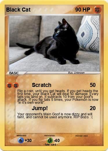 Pokemon Black Cat