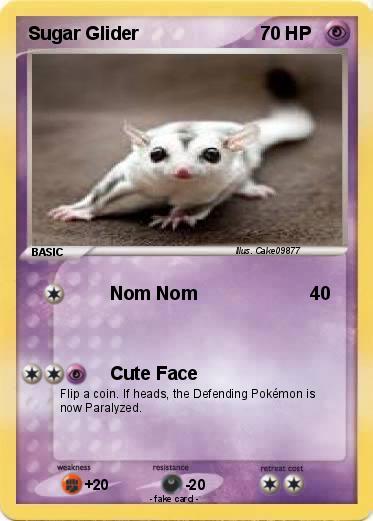 Pokemon Sugar Glider