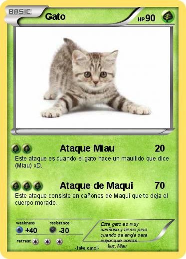 Pokemon Gato