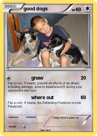 Pokemon good dogs