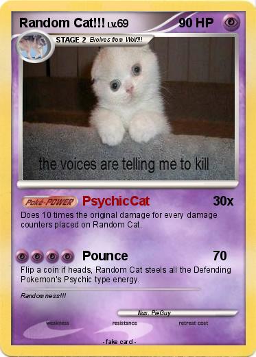 Pokemon Random Cat!!!