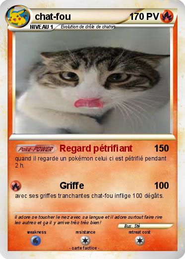 Pokemon chat-fou