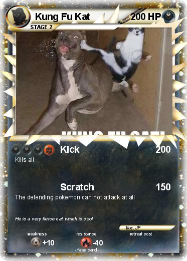 Pokemon Kung Fu Kat