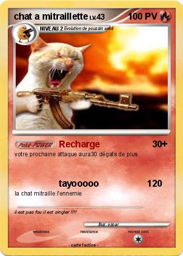 Pokemon chat a mitraillette