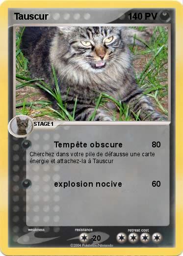 Pokemon Tauscur