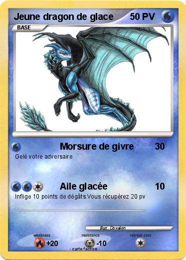 Pokemon Jeune dragon de glace