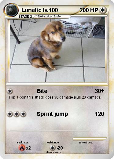 Pokemon Lunatic lv.100