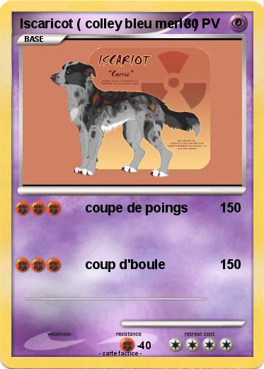Pokemon Iscaricot ( colley bleu merle )