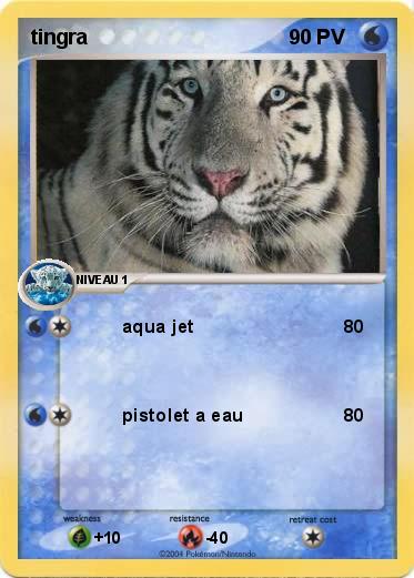 Pokemon tingra