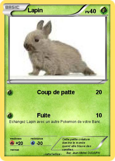 Pokemon Lapin