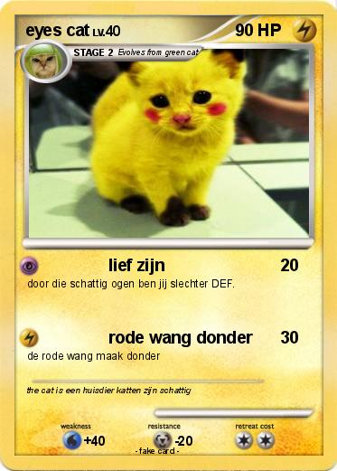 Pokemon eyes cat