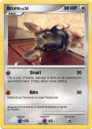 Pokemon Bruno