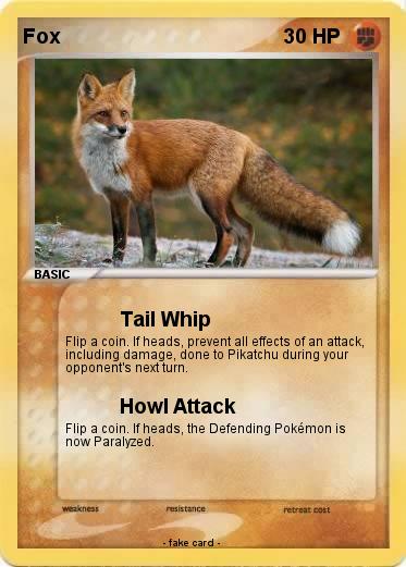 Pokemon Fox