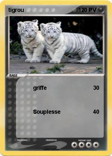 Pokemon tigrou