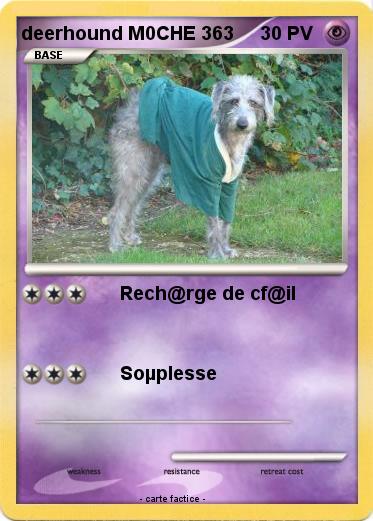 Pokemon deerhound M0CHE 363