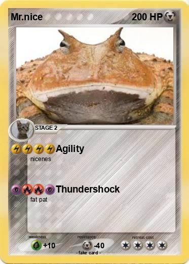 Pokemon Mr.nice
