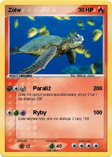 Pokemon Zolw