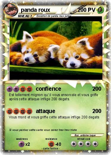 Pokemon panda roux