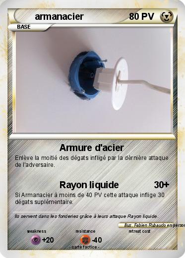 Pokemon armanacier