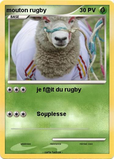 Pokemon mouton rugby