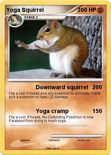 Pokemon Yoga Squirrel