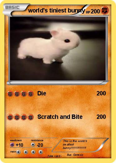 Pokemon world's tiniest bunny
