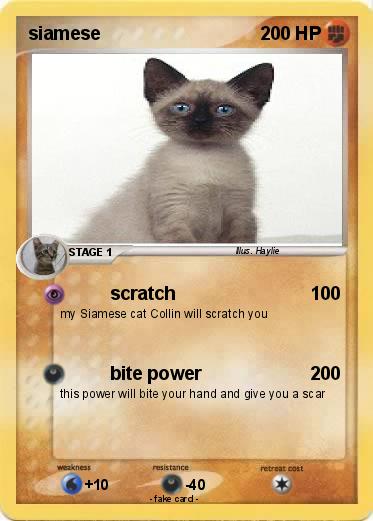 Pokemon siamese