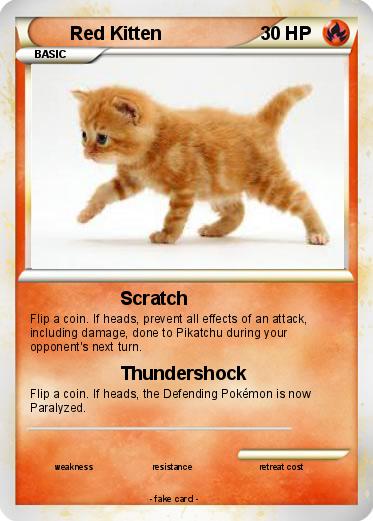Pokemon Red Kitten