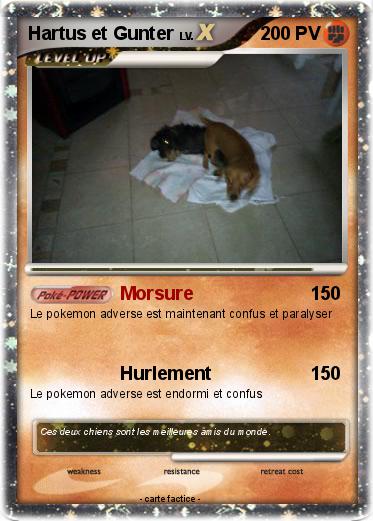 Pokemon Hartus et Gunter
