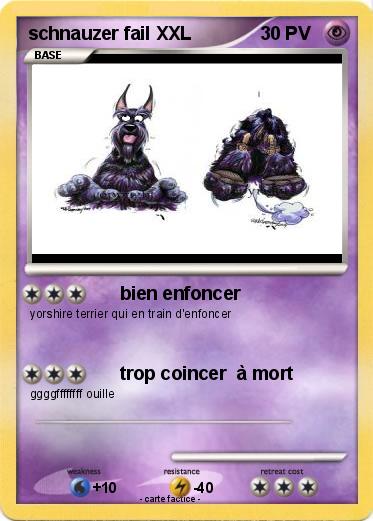 Pokemon schnauzer fail XXL