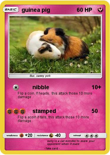 Pokemon guinea pig