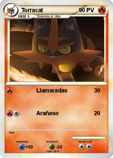 Pokemon Torracat