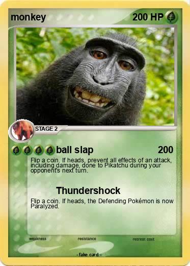 Pokemon monkey