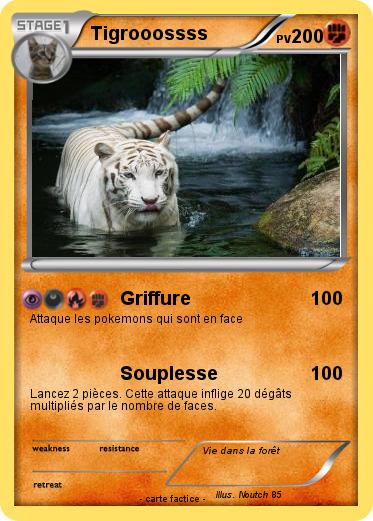 Pokemon Tigrooossss