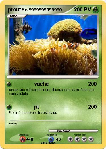 Pokemon proute