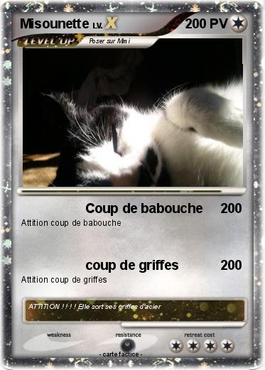 Pokemon Misounette