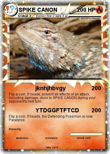 Pokemon SPIKE CANON