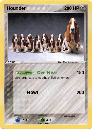Pokemon Hounder