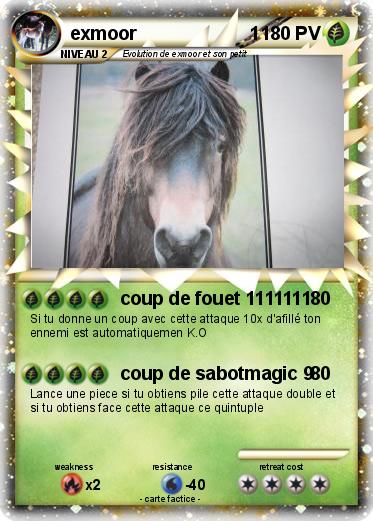 Pokemon exmoor                      1