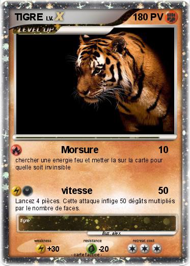 Pokemon TIGRE