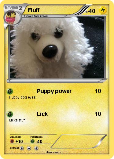 Pokemon Fluff