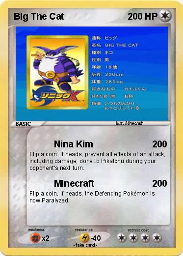 Pokemon Big The Cat