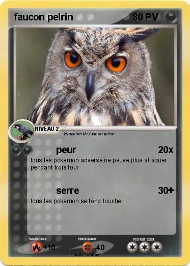 Pokemon faucon pelrin