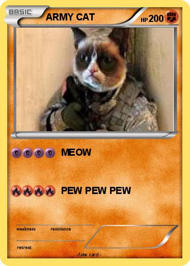 Pokemon ARMY CAT