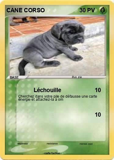 Pokemon CANE CORSO