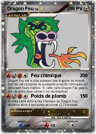Pokemon Dragon Feu