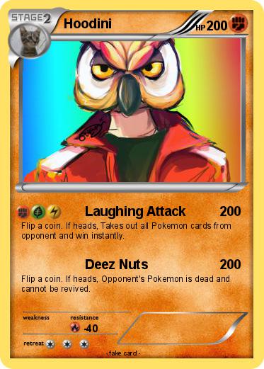 Pokemon Hoodini