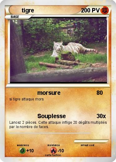 Pokemon tigre